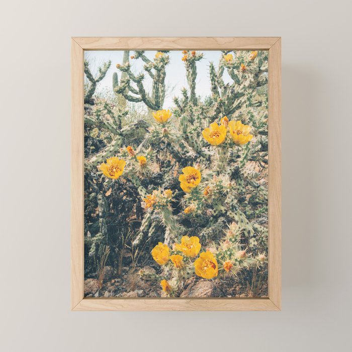 Buckhorn Cholla Cactus Flowers Mini Art Print Gallery Image 1