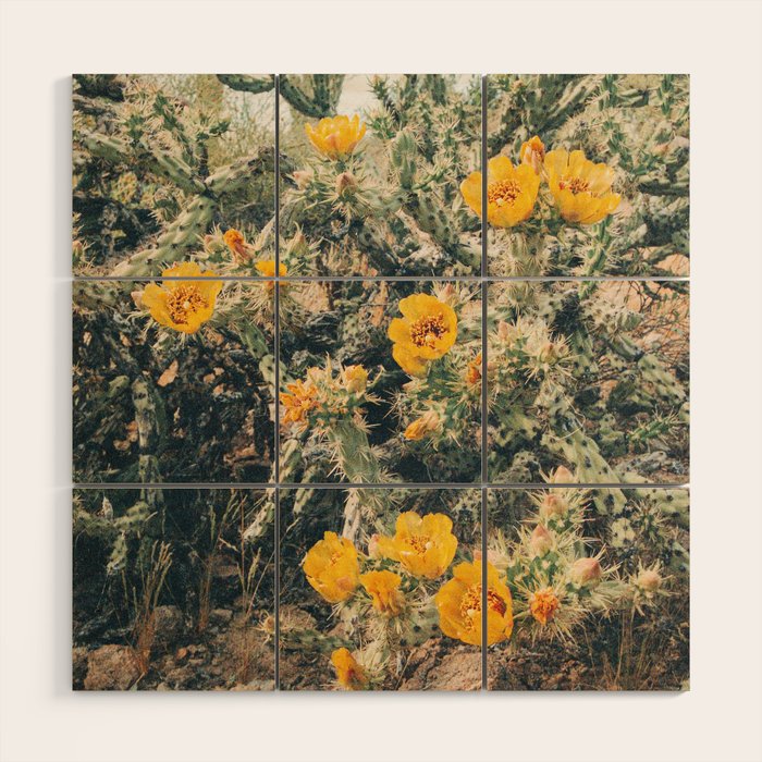 Buckhorn Cholla Cactus Flowers Wood Wall Art Gallery Image 1