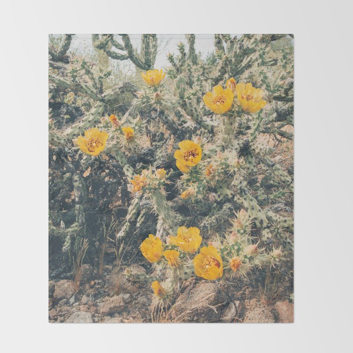 Buckhorn Cholla Cactus Flowers Throw Blanket Gallery Image 2