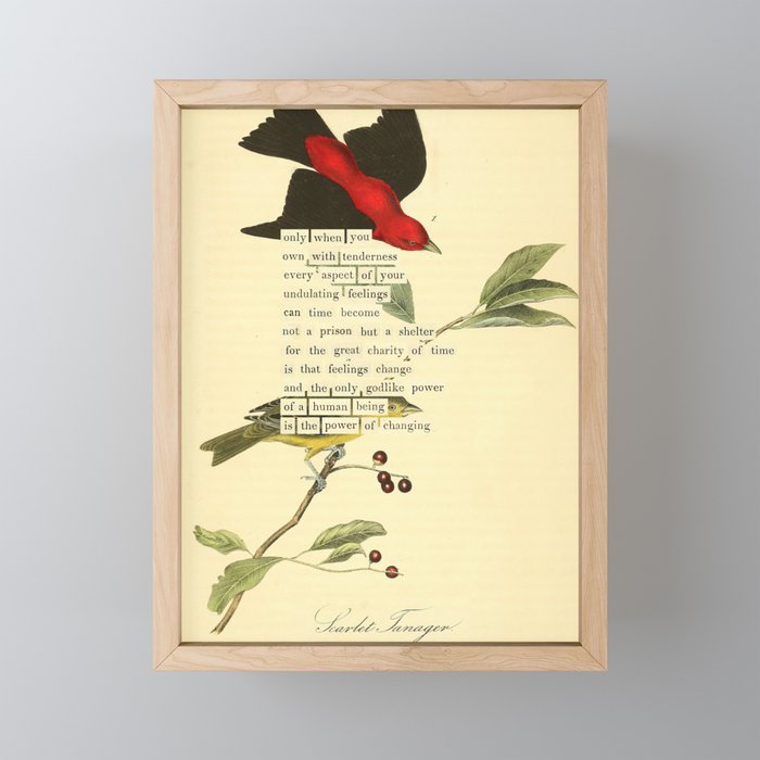 Bird Divinations: Scarlet Tanager (about: almanacofbirds.org) Mini Art Print Gallery Image 1