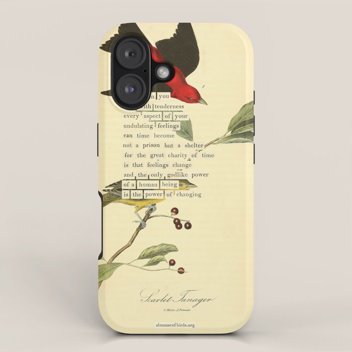 Bird Divinations: Scarlet Tanager (about: almanacofbirds.org) iPhone Case Gallery Image 1