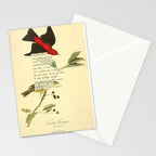 Bird Divinations: Scarlet Tanager (about: almanacofbirds.org) Stationery Card Gallery Image 2