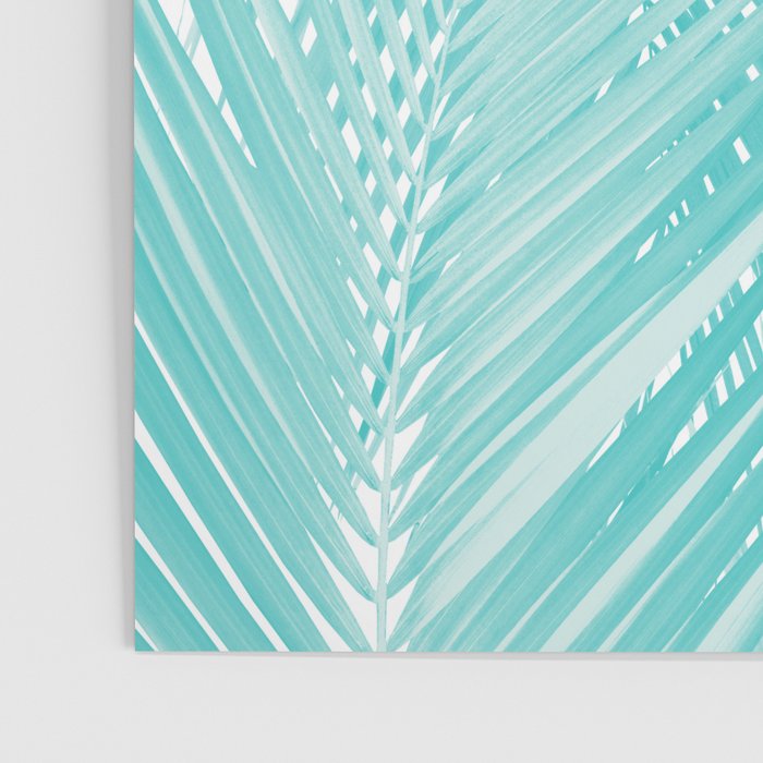 Soft Turquoise Palm Leaves Dream - Cali Summer Vibes #3 #tropical #decor #art Poster Gallery Image 3