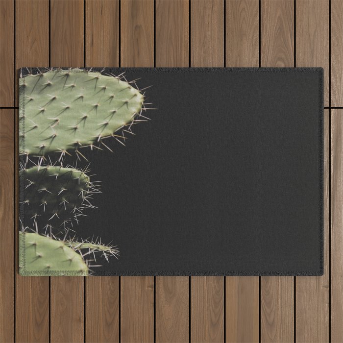 Cactus Outdoor Rug Gallery Image 1