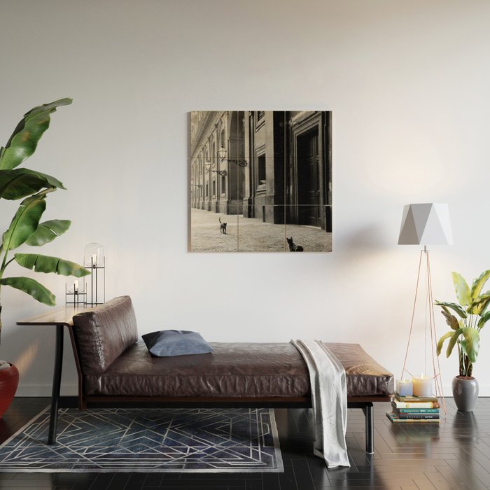 Two French Cats, Paris Left Bank black and white cityscape photograph / photography Wood Wall Art Gallery Image 2