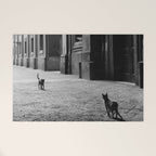 Two French Cats, Paris Left Bank black and white cityscape photograph / photography Welcome Mat Gallery Image 1