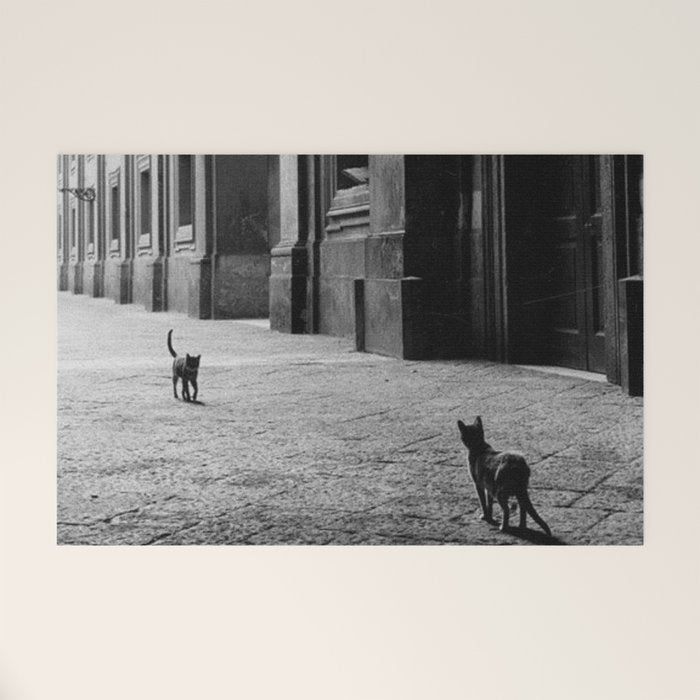 Two French Cats, Paris Left Bank black and white cityscape photograph / photography Welcome Mat Gallery Image 1