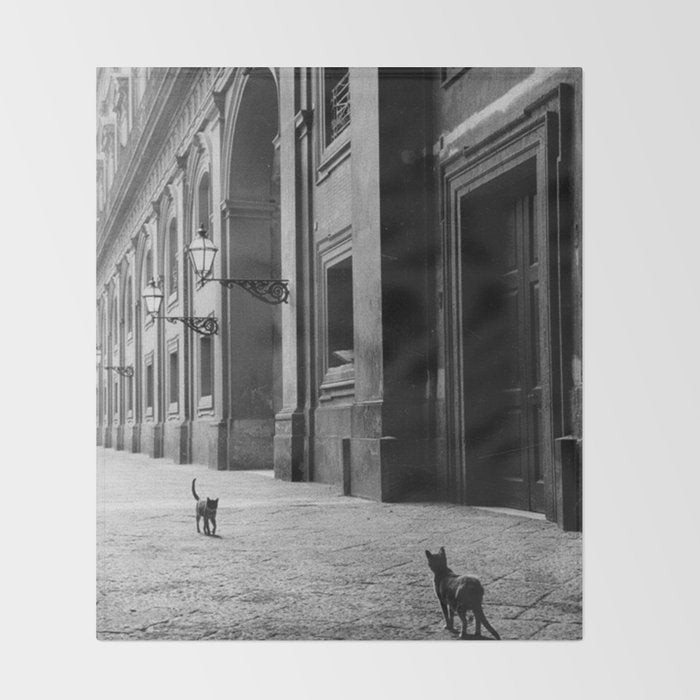 Two French Cats, Paris Left Bank black and white cityscape photograph / photography Throw Blanket Gallery Image 2