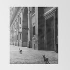 Two French Cats, Paris Left Bank black and white cityscape photograph / photography Throw Blanket Gallery Image 2