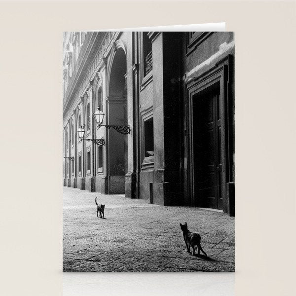 Two French Cats, Paris Left Bank black and white cityscape photograph / photography Stationery Card Gallery Image 1