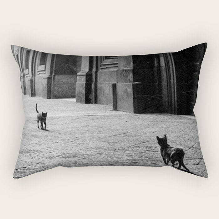Two French Cats, Paris Left Bank black and white cityscape photograph / photography Rectangular Pillow Gallery Image 2
