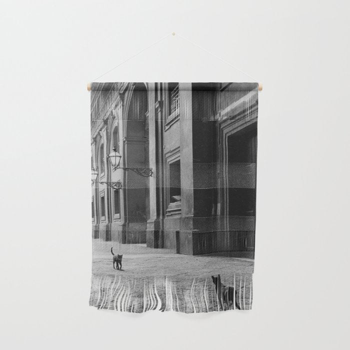 Two French Cats, Paris Left Bank black and white cityscape photograph / photography Wall Hanging Gallery Image 1