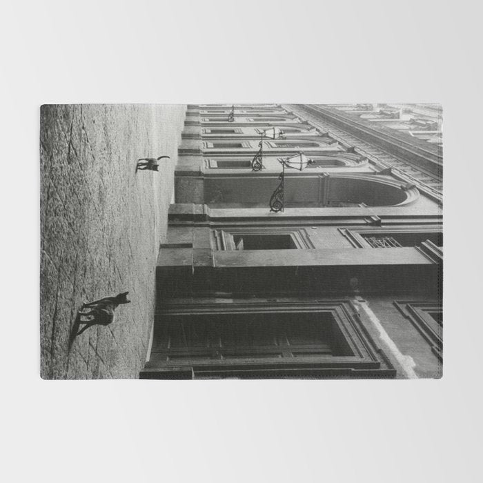 Two French Cats, Paris Left Bank black and white cityscape photograph / photography Rug Gallery Image 2