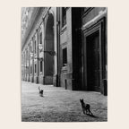 Two French Cats, Paris Left Bank black and white cityscape photograph / photography Poster Gallery Image 4