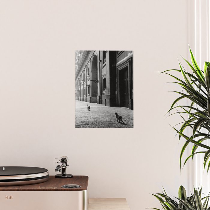 Two French Cats, Paris Left Bank black and white cityscape photograph / photography Poster Gallery Image 2