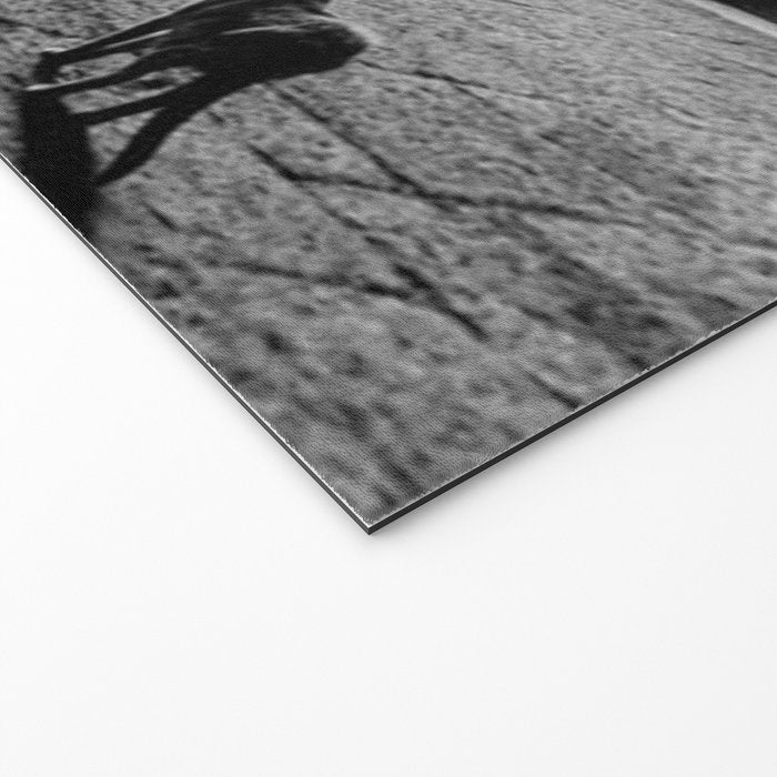 Two French Cats, Paris Left Bank black and white cityscape photograph / photography Welcome Mat Gallery Image 2