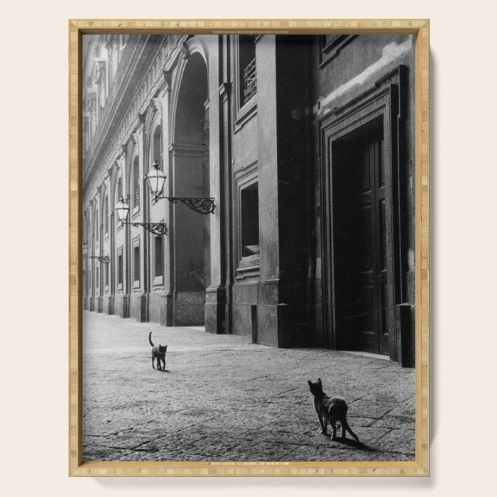 Two French Cats, Paris Left Bank black and white cityscape photograph / photography Serving Tray Gallery Image 1
