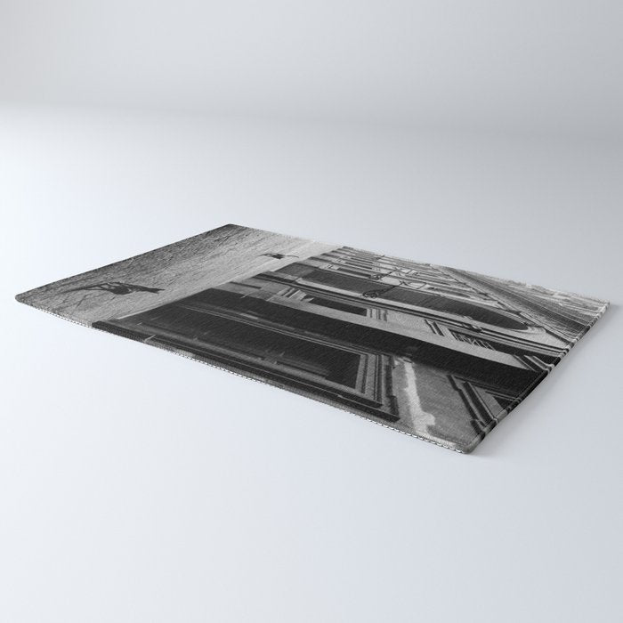 Two French Cats, Paris Left Bank black and white cityscape photograph / photography Rug Gallery Image 3