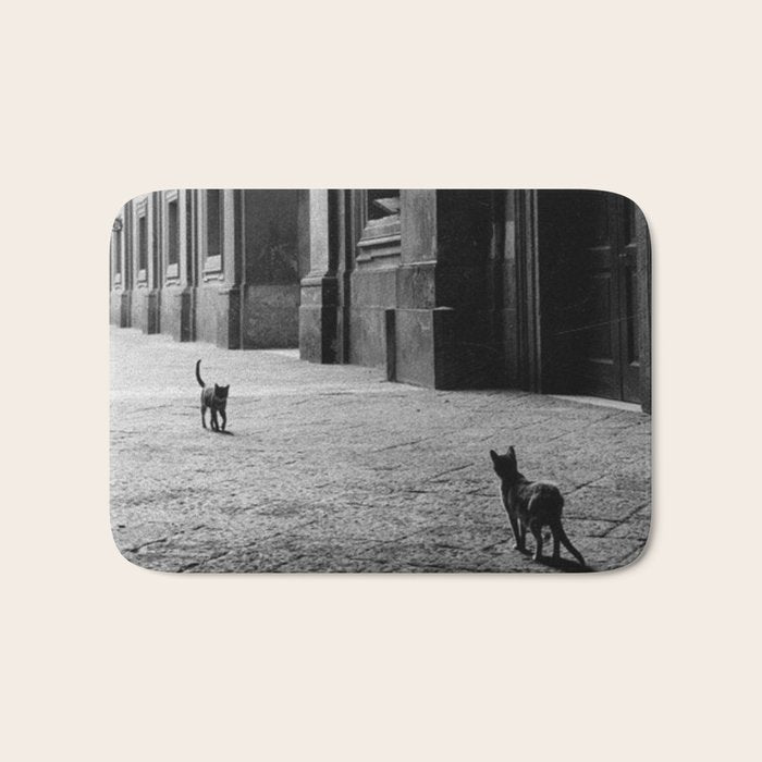 Two French Cats, Paris Left Bank black and white cityscape photograph / photography Bath Mat Gallery Image 1