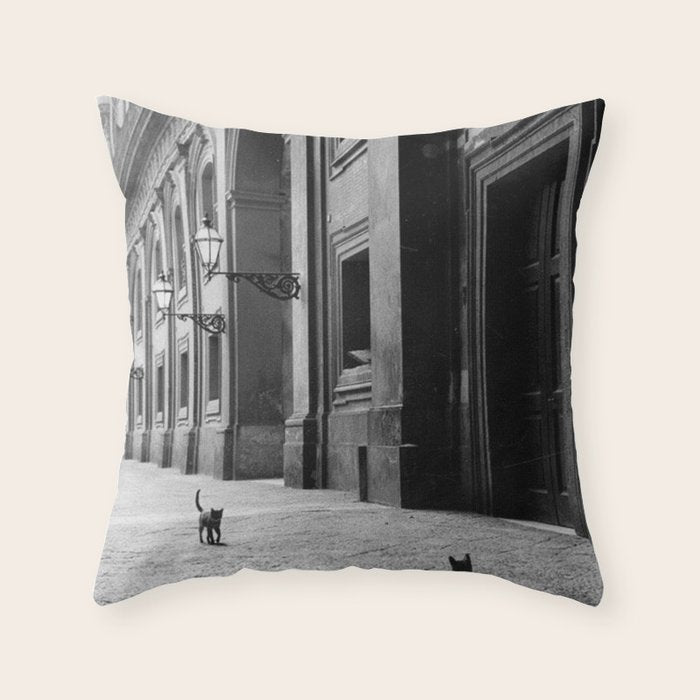 Two French Cats, Paris Left Bank black and white cityscape photograph / photography Throw Pillow Gallery Image 6