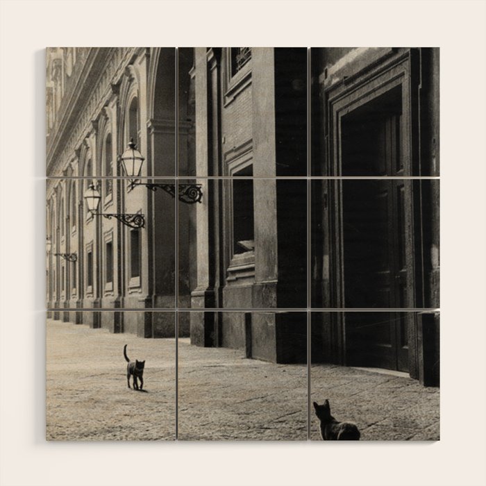 Two French Cats, Paris Left Bank black and white cityscape photograph / photography Wood Wall Art Gallery Image 1