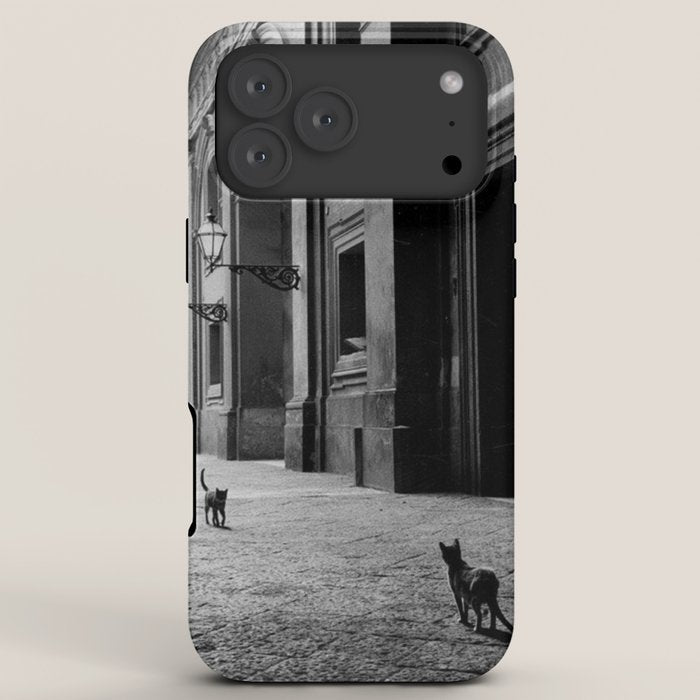 Two French Cats, Paris Left Bank black and white cityscape photograph / photography iPhone Case Gallery Image 8