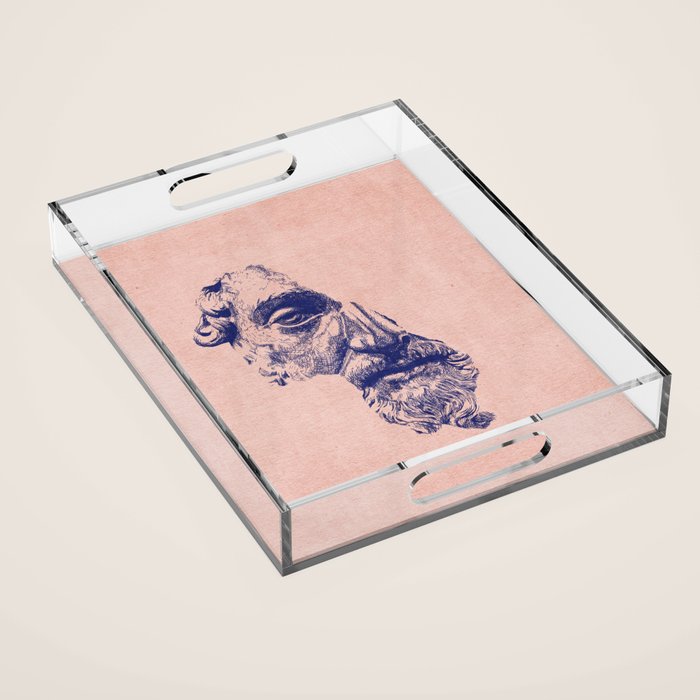 MARCUS AURELIUS ANTONINUS AUGUSTUS / Ballpen Acrylic Tray Gallery Image 1