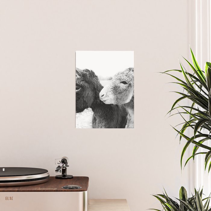 Donkey Love Poster Gallery Image 2
