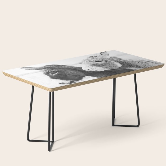 Donkey Love Coffee Table Gallery Image 1