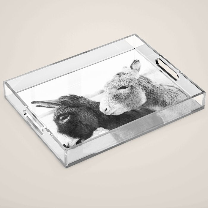 Donkey Love Acrylic Tray Gallery Image 1