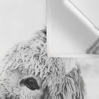 Donkey Love Wall Tapestry Gallery Image 3
