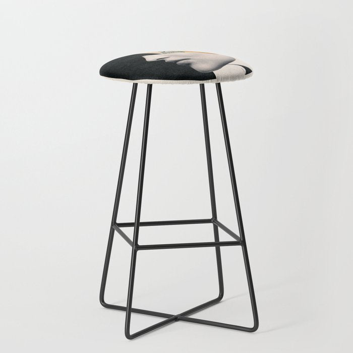 collage art / bird Stool Gallery Image 1