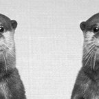 Otter - Black & White Coffee Mug Gallery Image 2