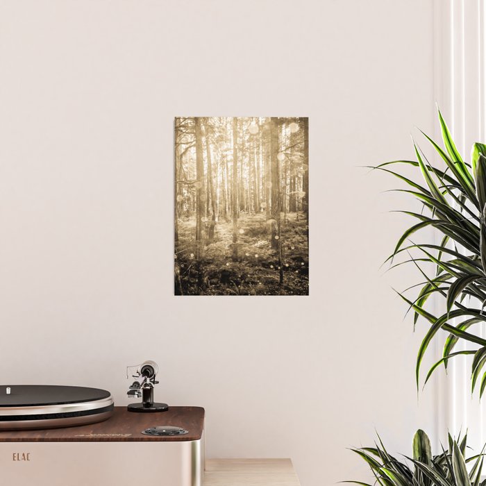 Vintage Sepia Fairy Forest Poster Gallery Image 2