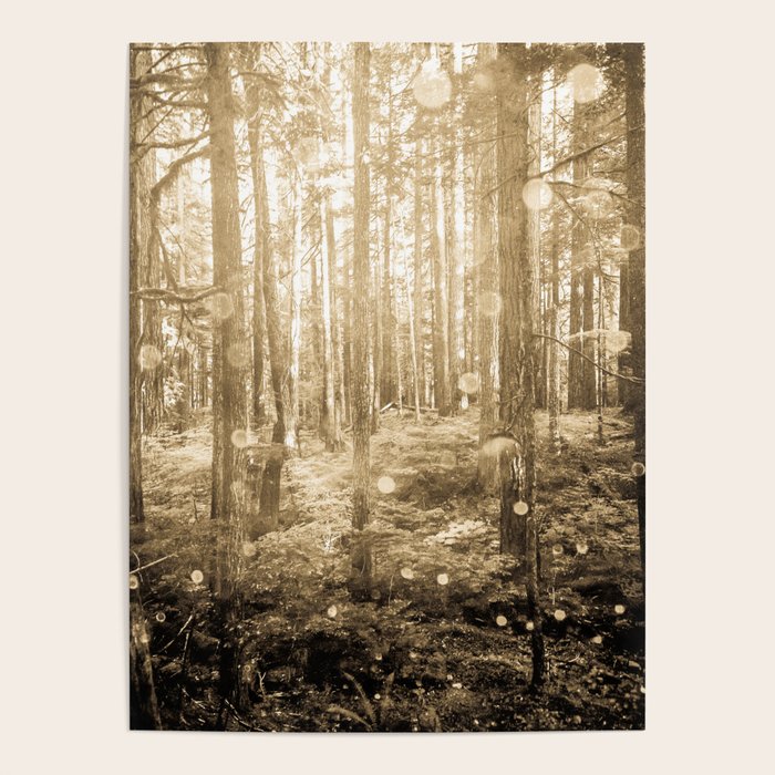 Vintage Sepia Fairy Forest Poster Gallery Image 1