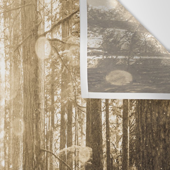 Vintage Sepia Fairy Forest Wall Tapestry Gallery Image 3