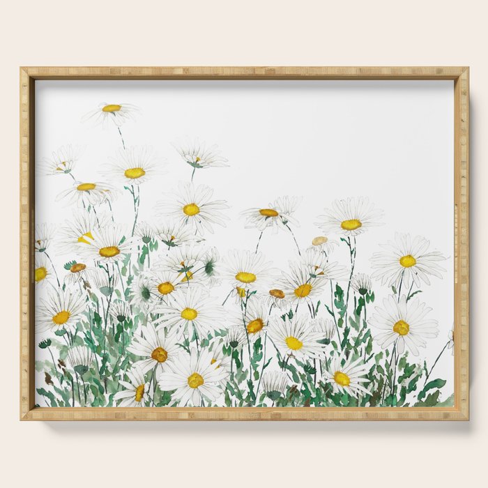 white margaret daisy horizontal watercolor painting Serving Tray Gallery Image 1