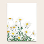 white margaret daisy horizontal watercolor painting Notebook Gallery Image 4
