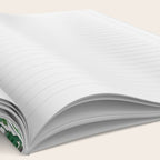 white margaret daisy horizontal watercolor painting Notebook Gallery Image 2