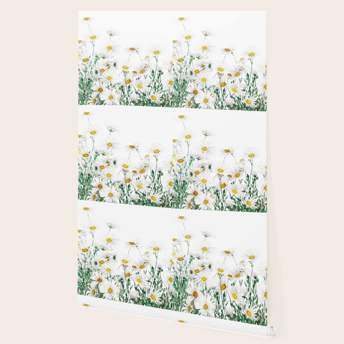 white margaret daisy horizontal watercolor painting Wallpaper Gallery Image 2