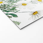 white margaret daisy horizontal watercolor painting Welcome Mat Gallery Image 2