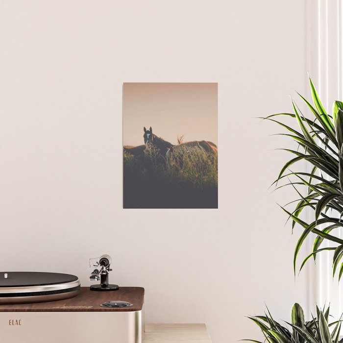 Ears Poster Gallery Image 2