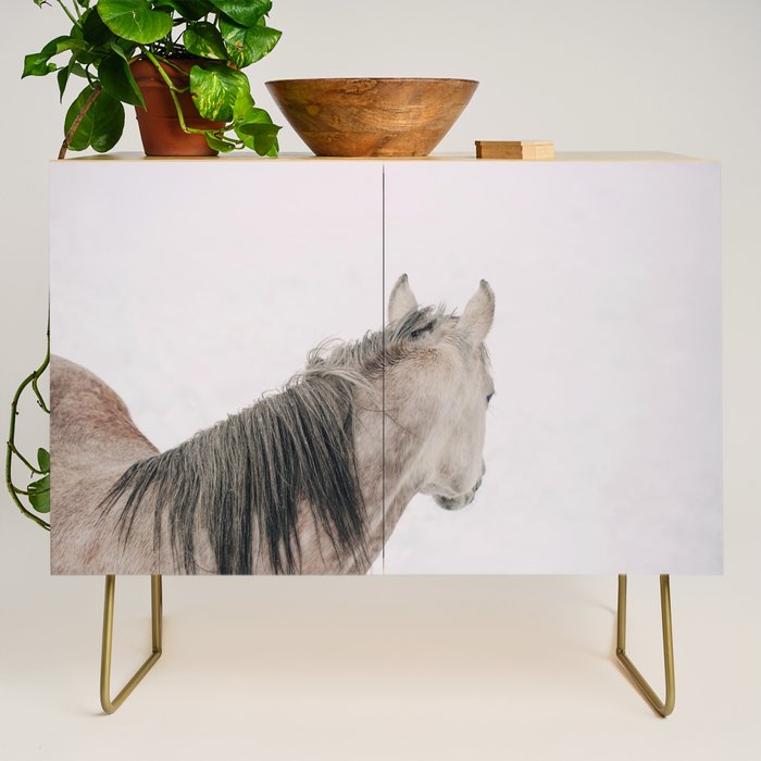 Watching It Snow Credenza Gallery Image 1