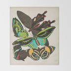 Vintage Butterfly Illustration EA Seguy Papillon Throw Blanket Gallery Image 2