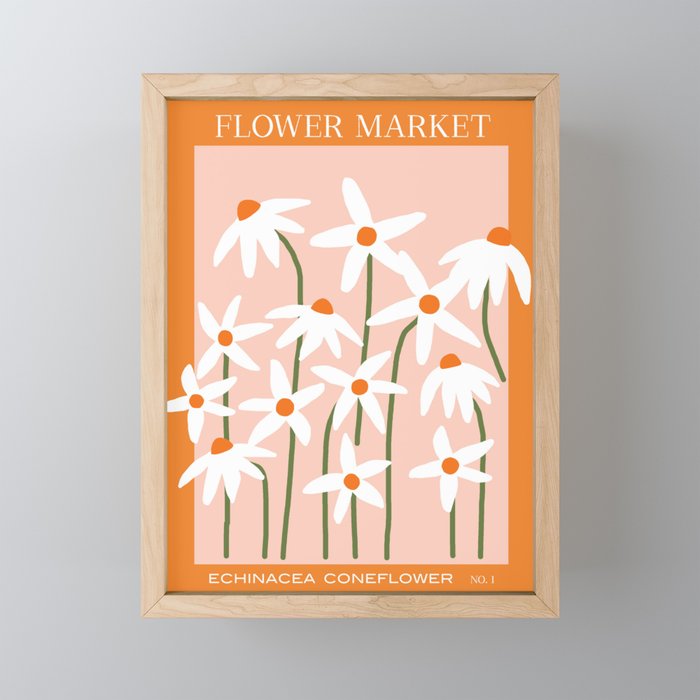 Flower Market - Echinacea #1 Mini Art Print Gallery Image 1