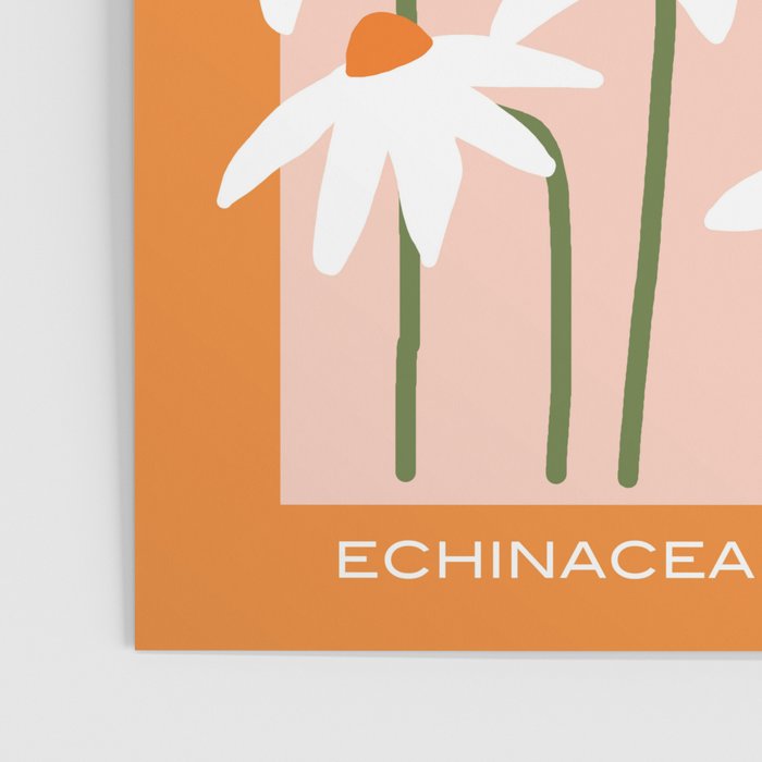 Flower Market - Echinacea #1 Poster Gallery Image 3