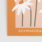 Flower Market - Echinacea #1 Poster Gallery Image 3