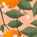 fresh citrus Coffee Mug Gallery Image 2