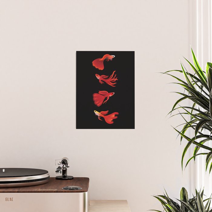 Red guppy Poster Gallery Image 2