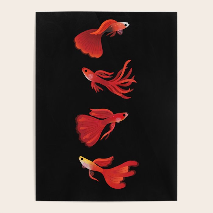 Red guppy Poster Gallery Image 1